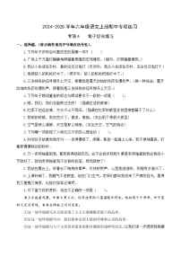 专项4 句子综合练习- 2024-2025学年六年级语文上册期中专项练习 统编版