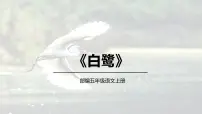 统编版（2024）五年级上册白鹭集体备课ppt课件
