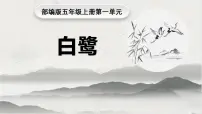 小学语文统编版（2024）五年级上册白鹭图文课件ppt