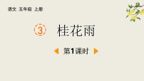 统编版（2024）五年级上册桂花雨课堂教学课件ppt