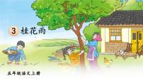 小学语文统编版（2024）五年级上册桂花雨图文课件ppt