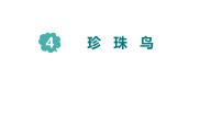 统编版（2024）五年级上册珍珠鸟集体备课ppt课件