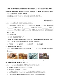 浙江省温州市多校2024-2025学年六年级上学期第二次月考语文试卷