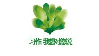 小学语文统编版（2024）五年级上册习作：我想对您说说课ppt课件