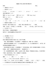 期中模拟练习（试题）-2024-2025学年统编版语文三年级上册