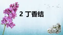 统编版（2024）六年级上册丁香结课文配套课件ppt