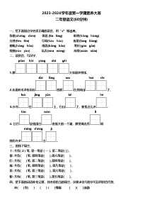 山东省烟台市牟平区2023-2024学年二年级上学期期末考试语文试题