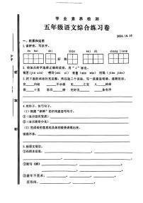 山东省枣庄市薛城区2024-2025学年五年级上学期10月月考语文试卷