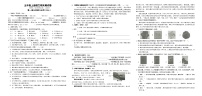 期末测试（试题）-2024-2025学年五年级上册语文统编版