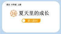 小学语文统编版（2024）六年级上册夏天里的成长示范课ppt课件