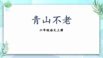 小学语文统编版（2024）六年级上册青山不老多媒体教学ppt课件