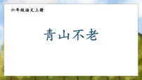 小学语文统编版（2024）六年级上册青山不老教课内容ppt课件