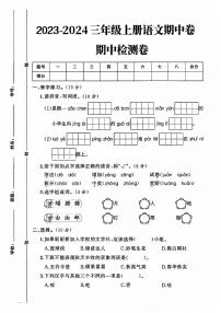 山东省临沂市兰山区多校2023-2024学年三年级上学期期中测试语文试卷