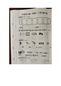 河北省廊坊市霸州市2024-2025学年一年级上学期10月月考语文试题