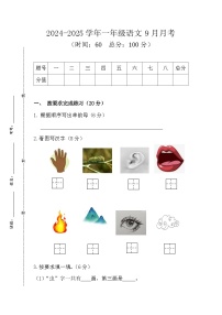 9月月考-2024-2025学年统编版语文一年级上册