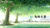 小学语文统编版（2024）五年级上册鸟的天堂评课ppt课件