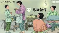 小学统编版（2024）慈母情深图片ppt课件