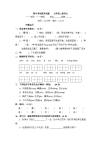 期中考试提升试题-2024-2025学年语文五年级上册统编版