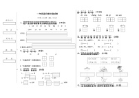 期中测试（试题）-2024-2025学年统编版（2024）一年级上册语文