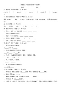 期中模拟练习（试题）-2024-2025学年三年级上册语文统编版