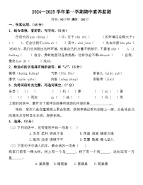 期中检测（试题）-2024-2025学年统编版语文四年级上册