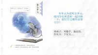 小学语文统编版（2024）五年级上册太阳评课课件ppt