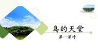 小学语文统编版（2024）五年级上册鸟的天堂教学演示ppt课件