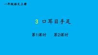 语文一年级上册（2024）3 口耳目手足作业ppt课件