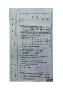 河南省周口市郸城县丁村乡大郭庄村小学2024-2025学年三年级上学期期中考试语文试卷