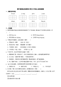 期中（试题）-2024-2025学年语文六年级上册统编版