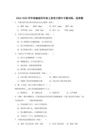 2024～2025学年统编版四年级上册语文期中专题训练：选择题（含答案）