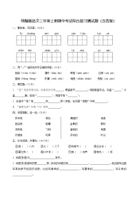 统编版语文三年级上册期中考试综合复习测试题（含答案）