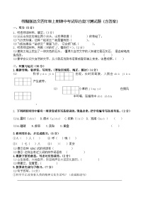 统编版语文四年级上册期中考试综合复习测试题（含答案）2