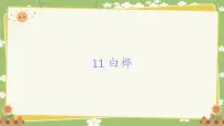 小学语文白桦课文课件ppt