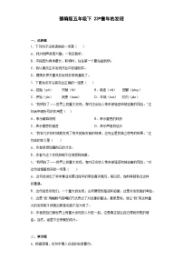 小学语文统编版（2024）五年级下册童年的发现课时练习