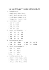 统编版2024～2025学年六年级上册语文期末训练专题：字形（含答案）