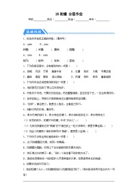 小学语文统编版（2024）四年级上册陀螺当堂达标检测题