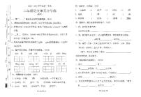 广东省汕尾市陆丰市碣石镇2024-2025学年二年级上学期期中测试语文试题