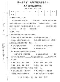 2024-2025河北省沧州市任丘市小学语文部编版期中考试题