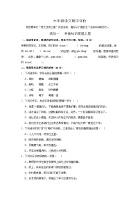 河南省郑州市金水区农科路小学教育集团2024-2025学年六年级上学期11月期中语文试题