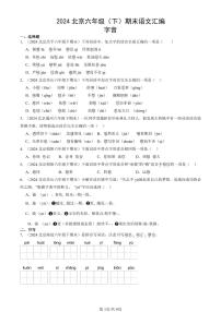 2024北京六年级下学期期末真题语文汇编：字音