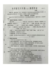 江苏省泰州市兴化市2024-2025学年六年级上学期期中语文试题