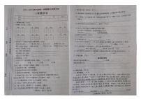 河南省漯河市临颍县2024-2025学年三年级上学期11月期中语文试题