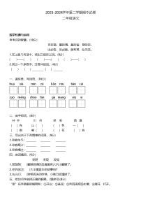 河南省濮阳市华龙区多校2023-2024学年二年级下学期期中语文试卷