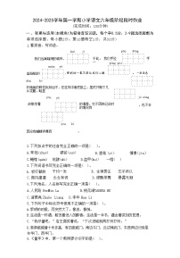 厦门市同安区大同中心小学2024-2025学年六年级上学期期中考试语文试卷