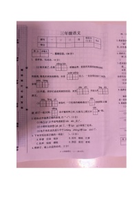 河南省驻马店市汝南县2024-2025学年三年级上学期11月期中语文试题