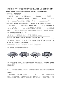 广东省深圳市龙华区多校2024-2025学年三年级上学期期中语文试卷