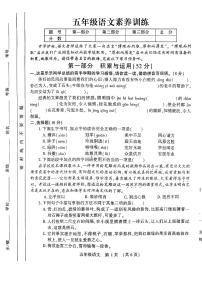 河南省洛阳市宜阳县多校2024-2025学年五年级上学期期中测评语文试卷