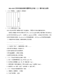 2024-2025学年河南省洛阳市偃师市五年级（上）期中语文试卷（含答案）