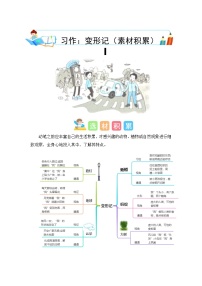 小学语文统编版（2024）六年级上册习作：变形记同步训练题